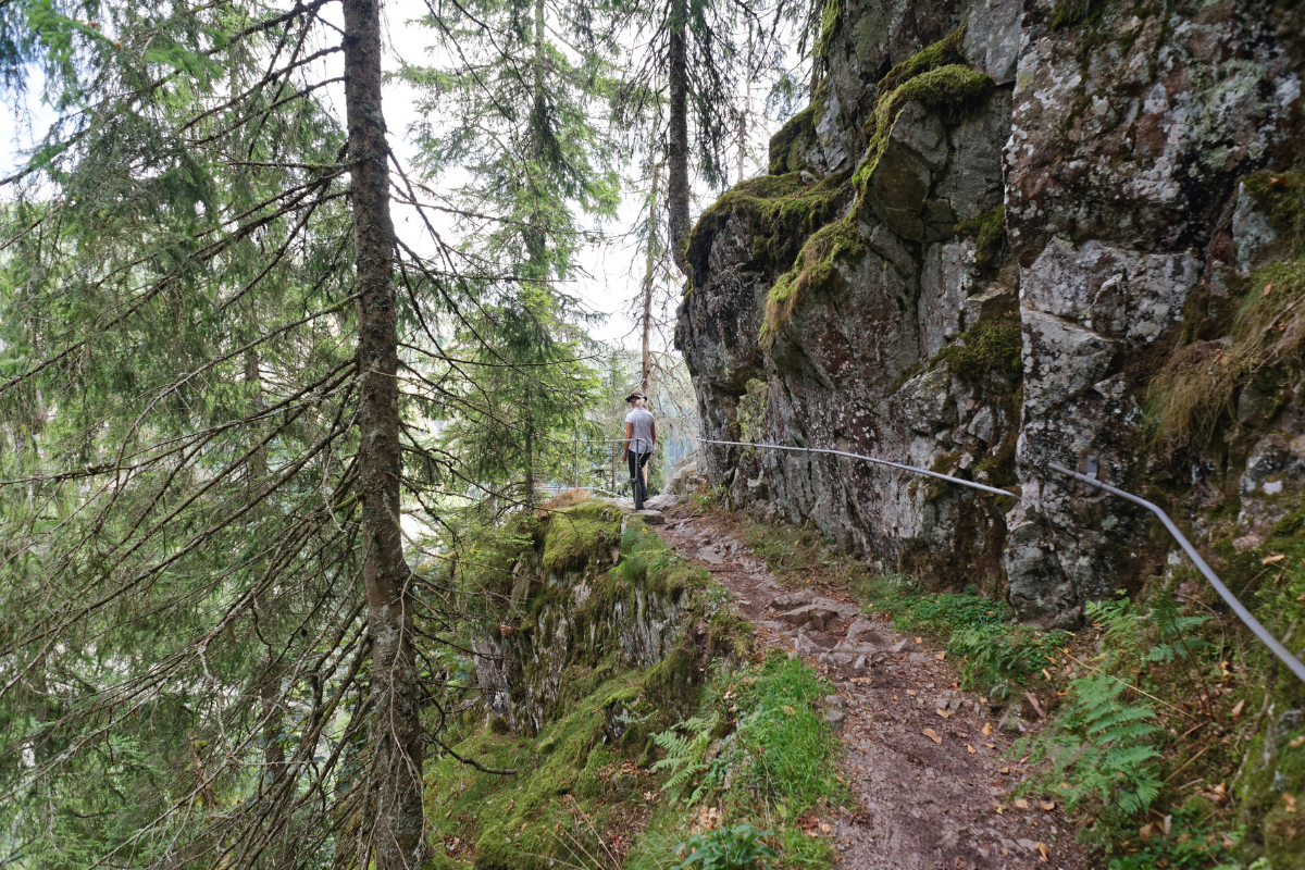 trekkingrad herren test bis 1000 euro 28 Zoll Trekking Fahrrad TRAIL 5.0 Shimano Deore 30 x Gang RD-T6000 SGS City Bike Rahmenhöhe 48 52 56 60 cm M L XL günstig kaufen Kestrel Talon SL Frameset laseo_color_grey Lens Type:UV Lime Honey Comb