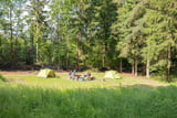 Ein Trekkingplatz zum übernachten in freier Natur im Frankenwald.