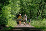 Nach dem Spaziergang auf dem steinigen Keltenwall des Hunnenrings führen Waldwege zurück zum Startpunkt in Otzenhausen.