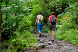 Steinige Waldpfade wechseln sich mit Schotterpassagen ab.