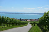Bodensee Radweg