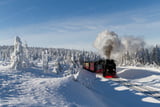 Die Harzer Schmalspurbahn fährt durch die verschneite Harzer Winterlandschaft.