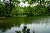 Der Mechesee bei Lobetal ist von dichtem Wald umgeben.