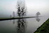 Gespenstischer Morgennebel am Rhein-Marne-Kanal