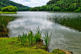 Der kleine Stausee liegt verträumt zwischen den Odenwälder Bergen.