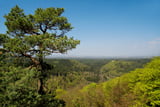 Vom Peilnstein eröffnet sich unerwartet ein Fernblick bis Schwandorf und Wackersdorf. Im Vordergrund ragt Burg Stockenfels aus dem Wald.