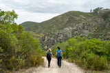 Mediterrane Landschaft, Korkeichen, lichte Wälder und einige Felsen prägen die Landschaft an der Via Algarviana.