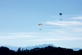 Ein gewohntes Bild: Paragleiter in der Luft