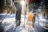 Eine Person wandert auf einem verschneiten Grat imWinter mit Schneeschuhen und Blick ins verschneite Tal bei traumhaftem Winter-Wetter.
