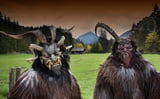 Lange Hörner, zotteliges Fell und hässliche Fratzen zeichnen den Krampus aus.