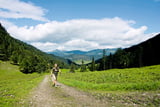 Am Weg zur Großpointner Alm