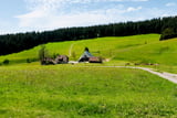 Sanft geschwungene Wiesen und einzeln stehende Schwarzwaldhöfe prägen Schollach.