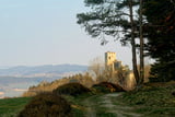 Blick vom Wanderweg auf dem Pfahl zur Burgruine Weißenstein