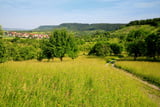 Blick über die Streuobstwiesen auf den Schönbuchtrauf