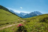 Am Grasbergsattel heißt es Abschied nehmen von den Panoramablicken im Vorkarwendel.