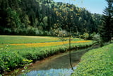 Das Wiesenttal gehört zu den schönsten Tälern in der Fränkischen Schweiz.