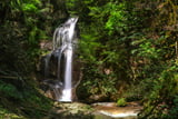 Wasserfall Niedersonthofen Falltobelweg