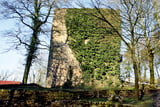 Ruine Limberg