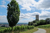 Baum und Reben, Stadt und Burg: symbolträchtiger Blick vom Weinberg der Ehe