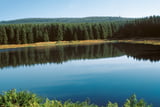 Einer der vielen waldumgebenen Teiche bei Clausthal-Zellerfeld