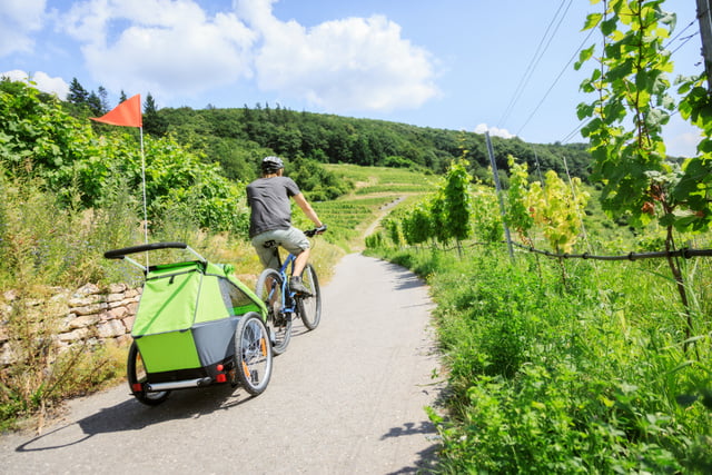 Fahrradanhänger