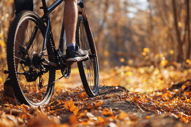 fahrrad_herbst